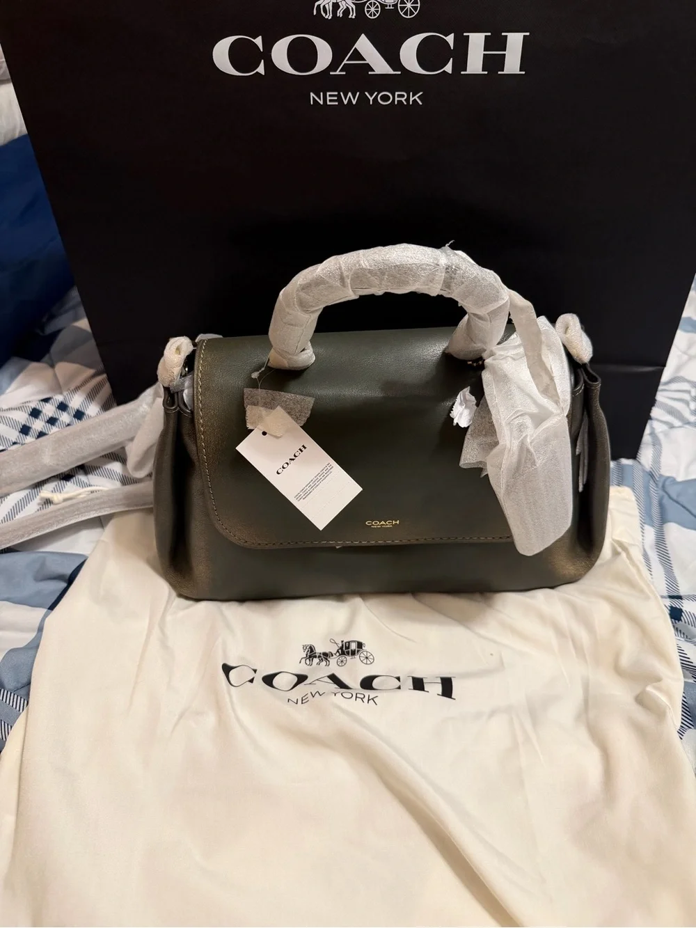 COACH Loved Leather Slouchy Rogue in Green